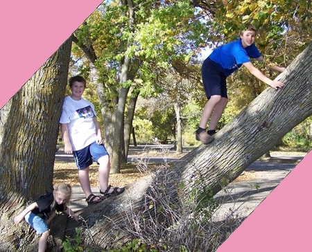 Caleb and Corbin in a tree
