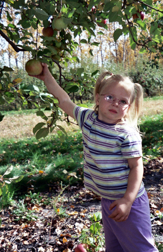 Anna picking an apple