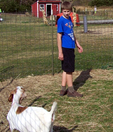 Caleb and a goat