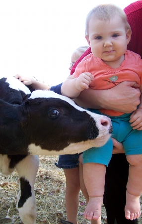 Ella with the calf