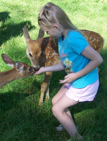 Rosa feeding the deer