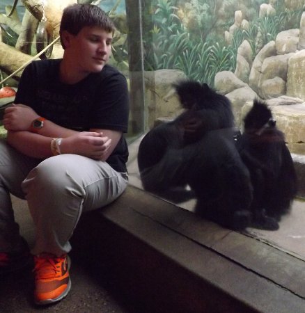 Corbin with a bunch of monkeys