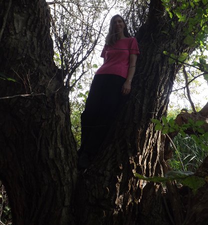 Shannon in a tree