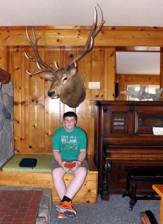 Corbin sitting under a elk head