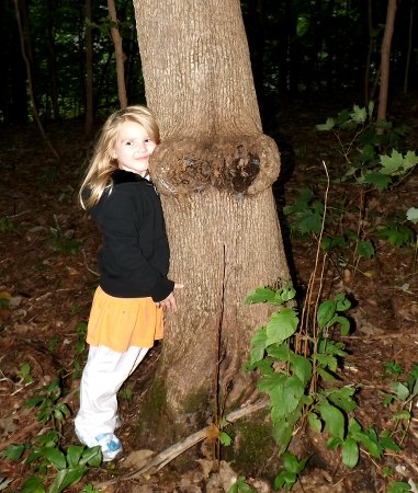 Ella with what she named Boob Tree