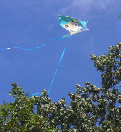 the minion kite stuck in the tree