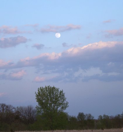 the moonrise over the prairie