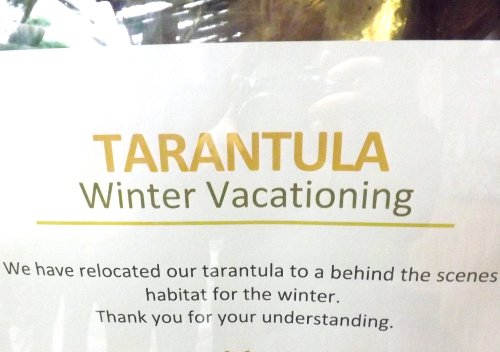 a sign saying the tarantula is winter vacationing