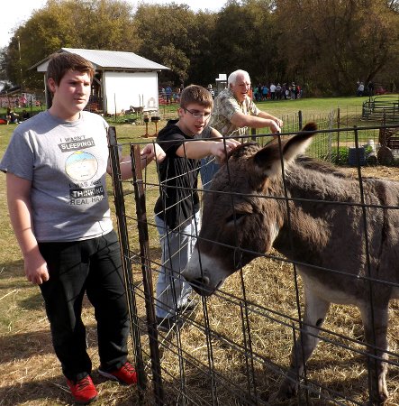 Corbin and Caleb viewing a donkey