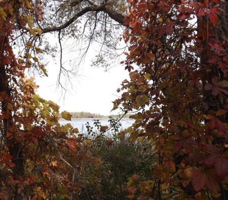 fall colors framing a lake