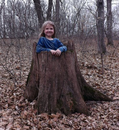 Ella in a tree stump