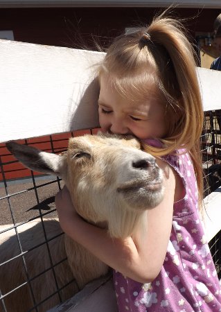 Ella and a goat hugging