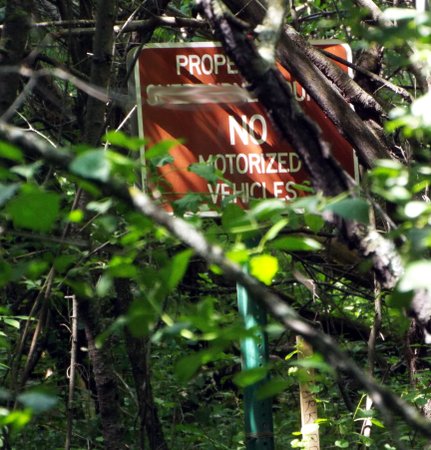 a no motorized vehicles sign entanged in thick undergrowth
