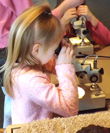 Ella looking into a microscope