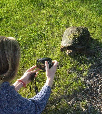 Shannon taking a picture of a large snapping turtle