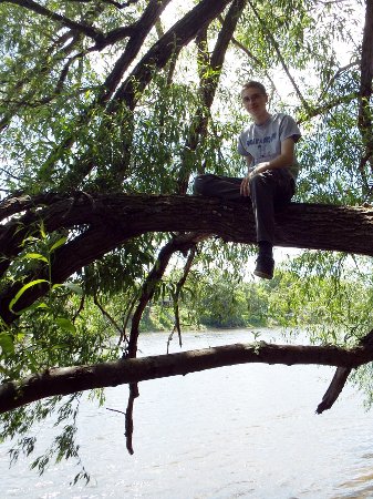 Caleb in a tree