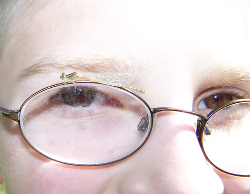 Caleb with a damselfly on his glasses