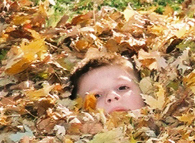 Corbin in the leaves