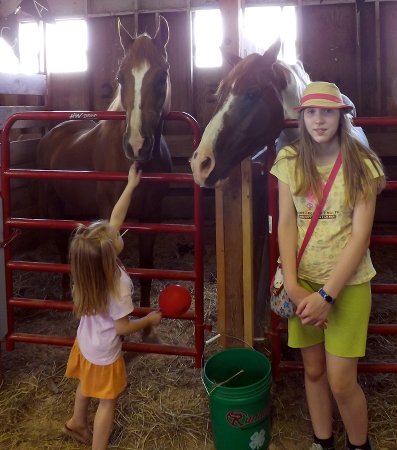 Ella and Nora with some horses