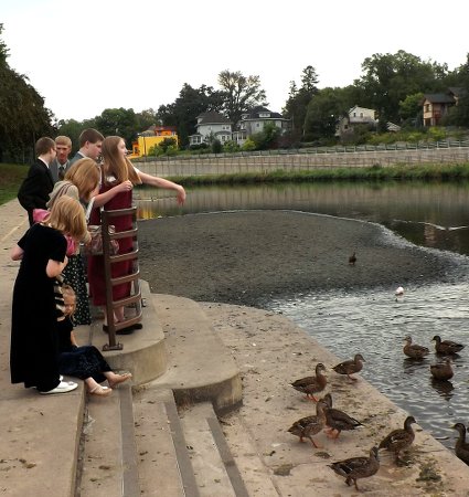 the kids feeding the ducks