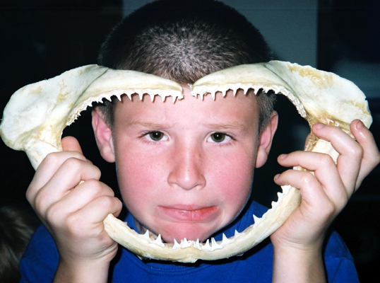 Corbin looking through a sharks jaw bone