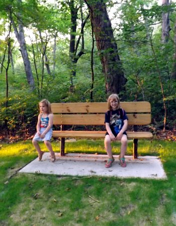 one of the new benches in the middle of the woods