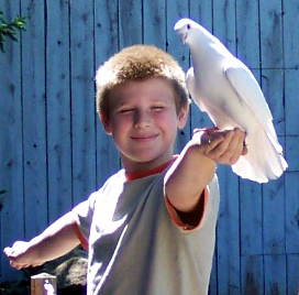 Corbin with the dove
